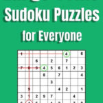 Large Print Large Print Sudoku Puzzles For Everyone Vol 3 100 Brain